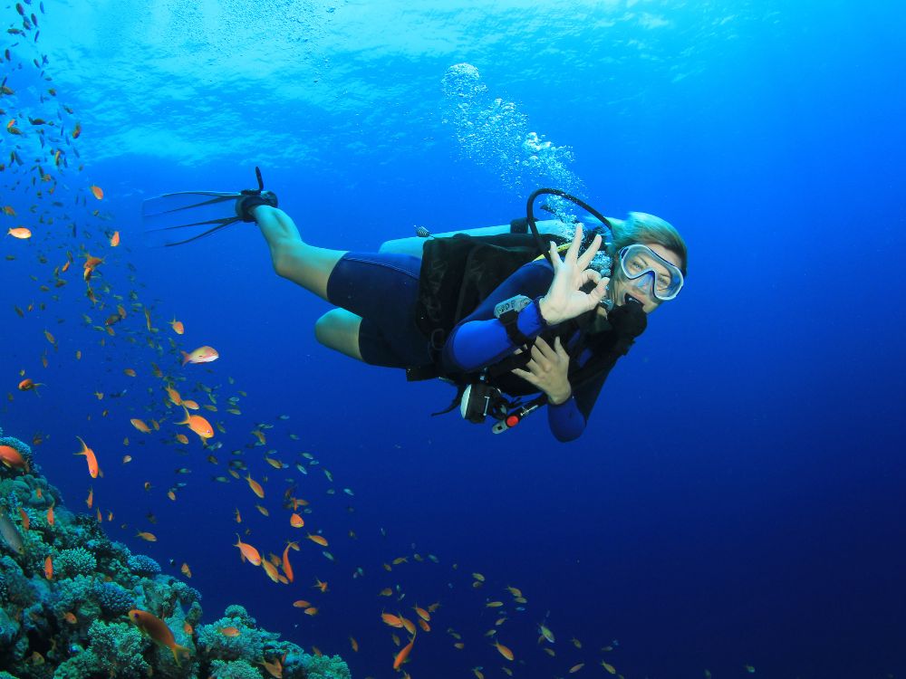 Diving in Pemba Reefs